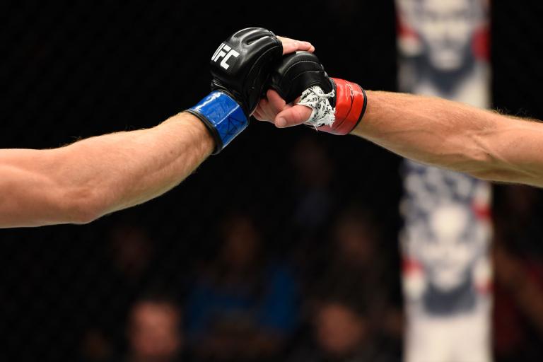 Adults MMA